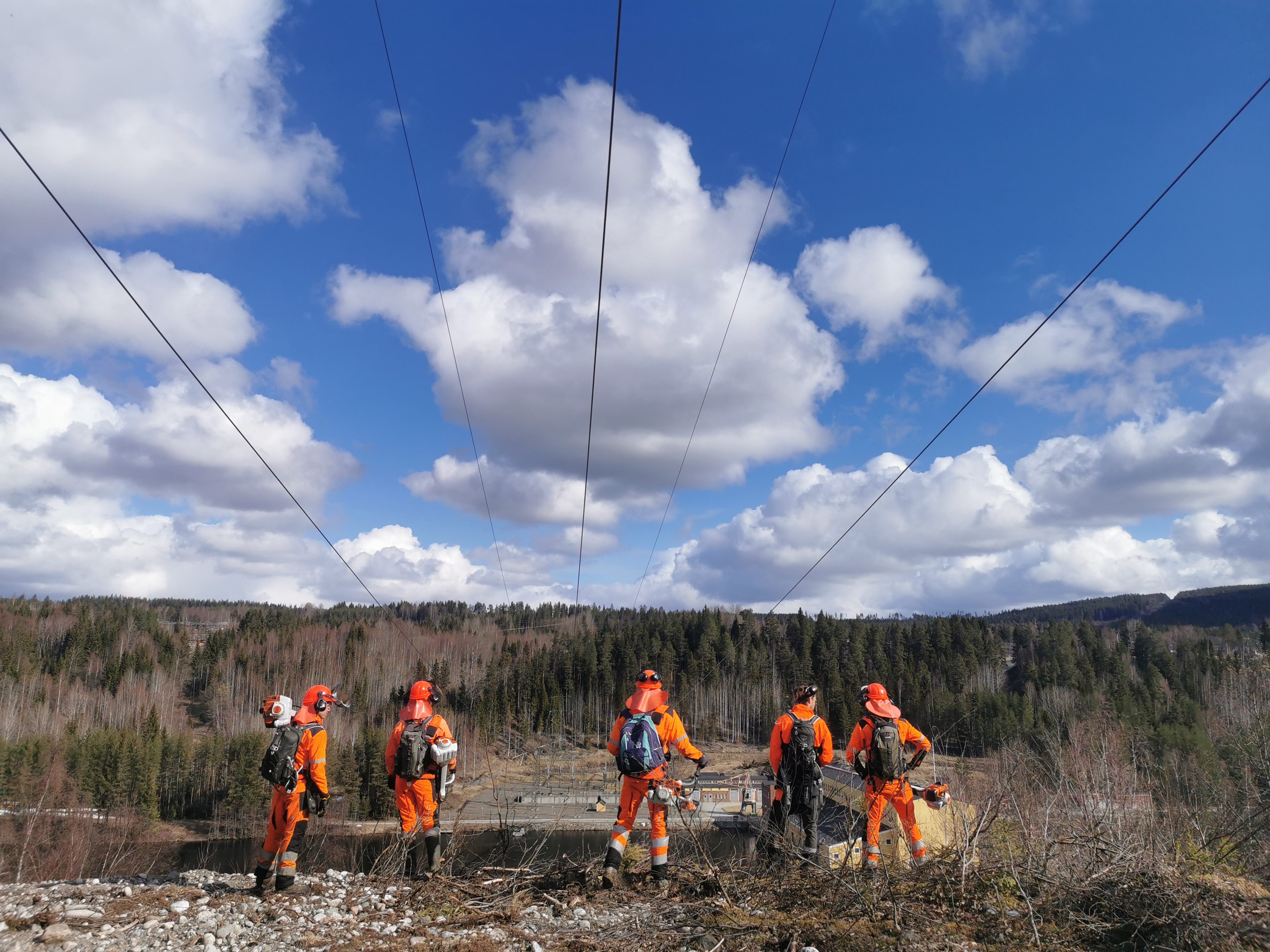 Bortforsling Växjö
